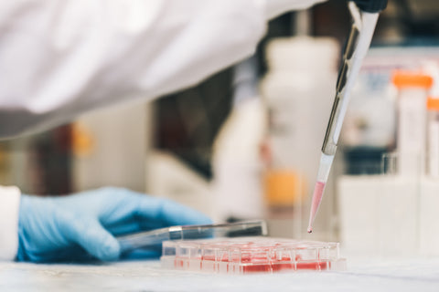 Predictive Lab Testing to Streamline QAQC Procedures